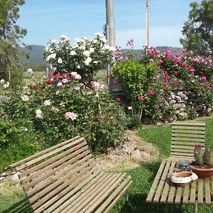 Il Vecchioliveto Di Ornella , Marrùbiu Italië
